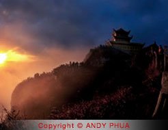 Wong Wai Sun