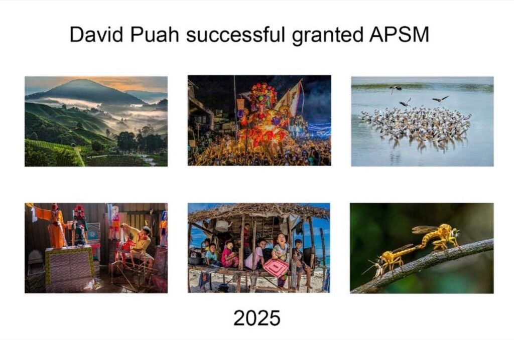 PSM eNews — November 2025