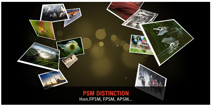 Member photo contests